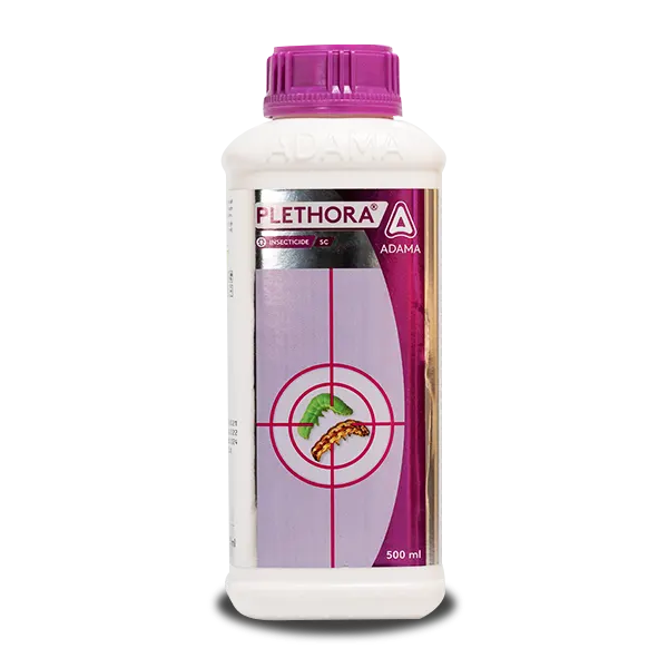 Plethora