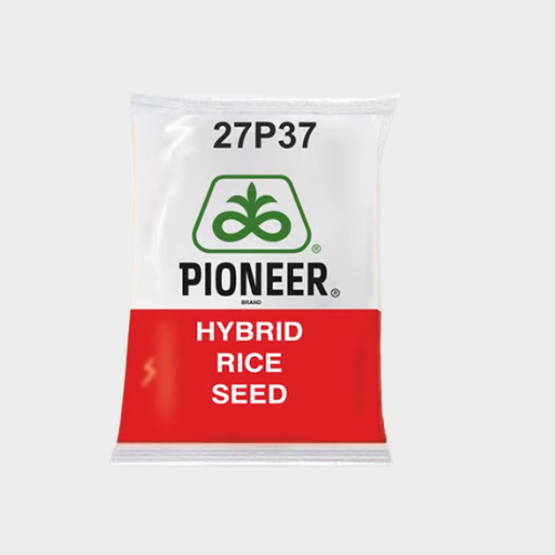 Pioneer 27P37