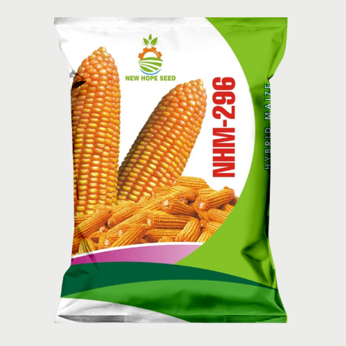 NH 296 MAIZE SEED