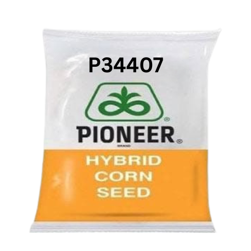 P34407