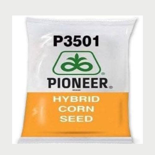 P3305