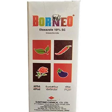 Borneo