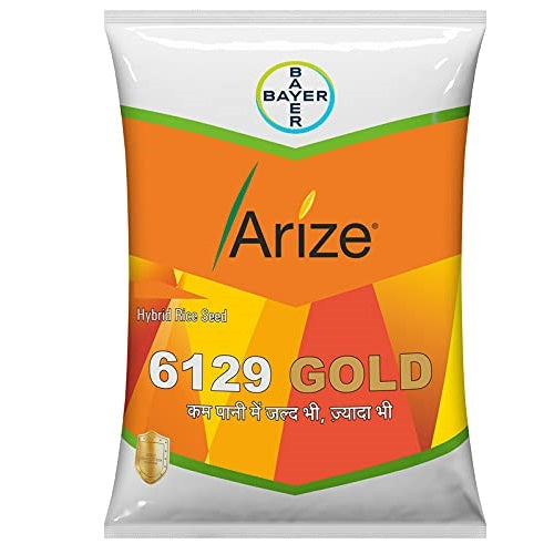 6129 GOLD