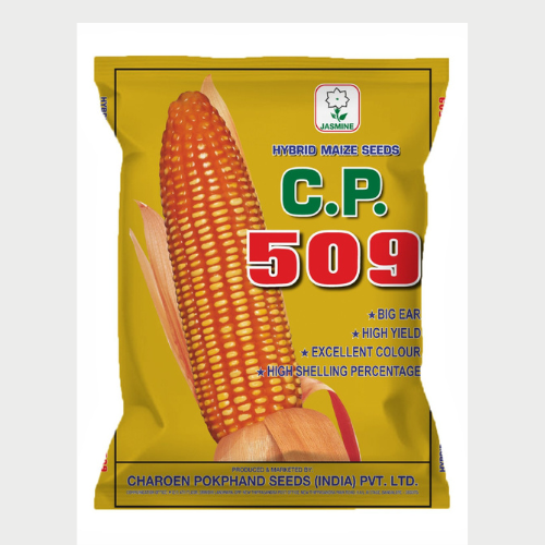 CP 509