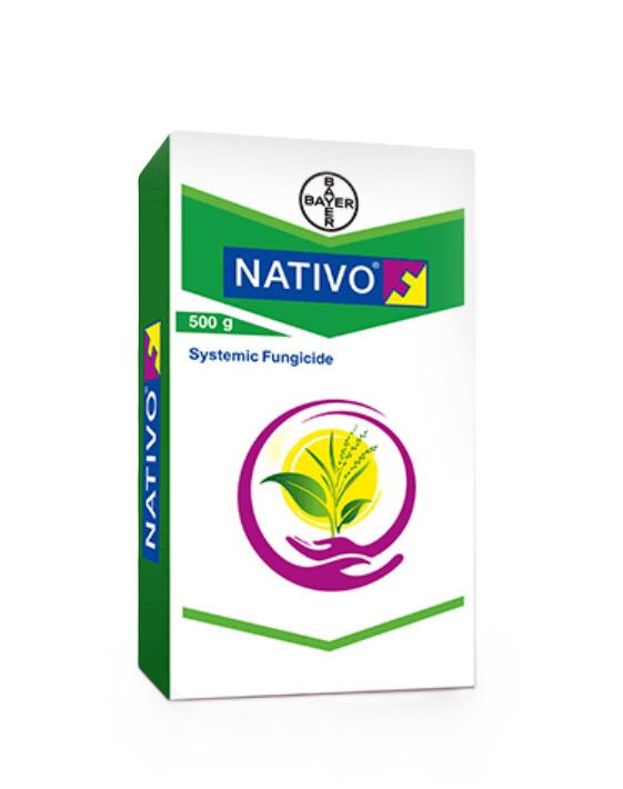 bayer herbicide for paddy Bayer Nativo – Somani Agro Solution