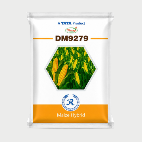 DM 9279