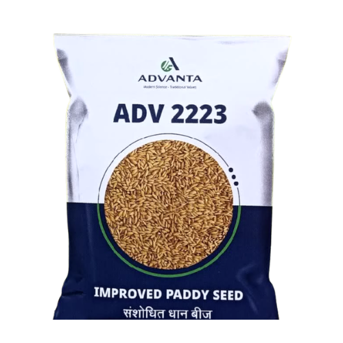 ADV 2223 paddy 10kg