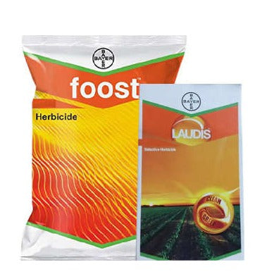 Laudis with Foost