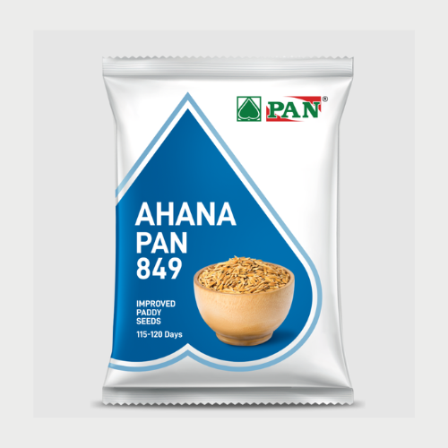 Pan Seed Ahana