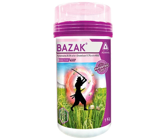 Bazak