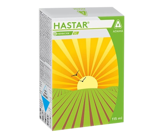 Hastar