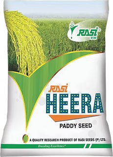 Rasi Heera