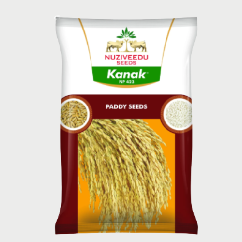 Kanak NP-423 Paddy Seeds