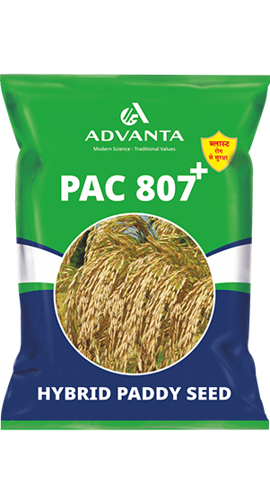 PAC 807 Plus