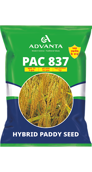 PAC 837 Plus
