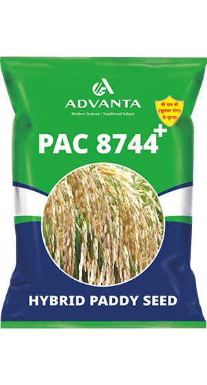 PAC 8744 Plus