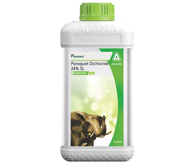 Paranex