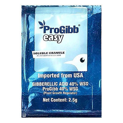 Progibb Easy