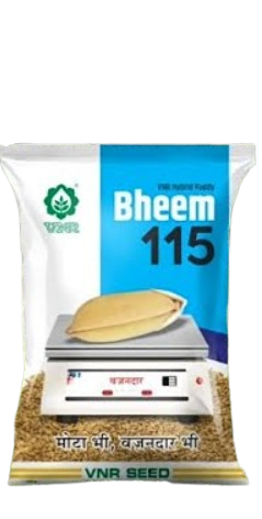 VNR BHEEM 115