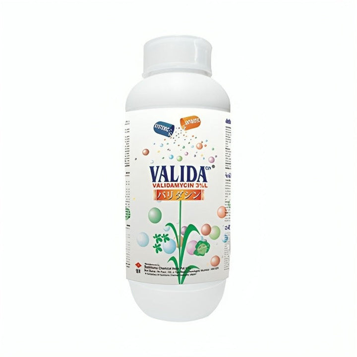 Validacin