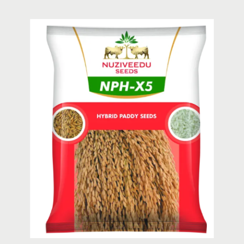 NPH X5 paddy seeds (NPH 5)