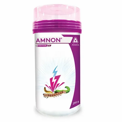 adama Amnon