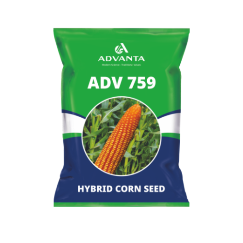 ADV 759