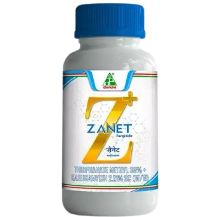 Zanet