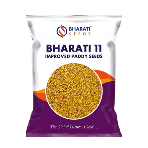 BHARATI 11 paddy seeds