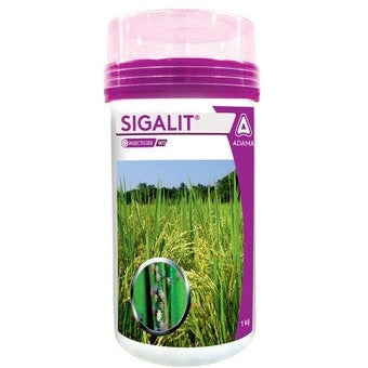 Sigalit