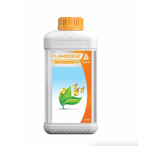 फ्लैम्बर्ग