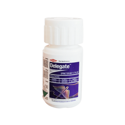Delegate