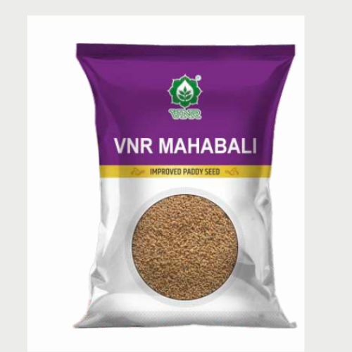 VNR Mahabali Paddy Seeds