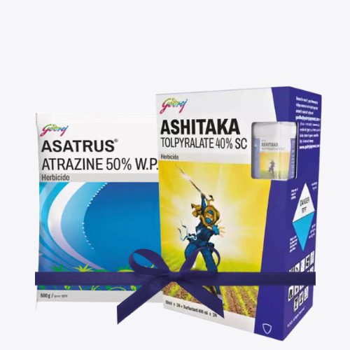 Ashitaka Godrej