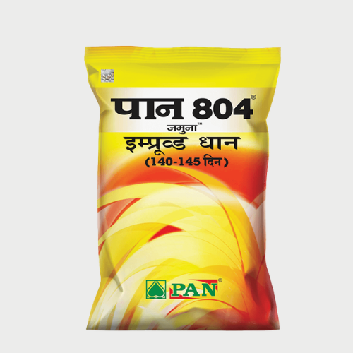 Pan Jamuna 804