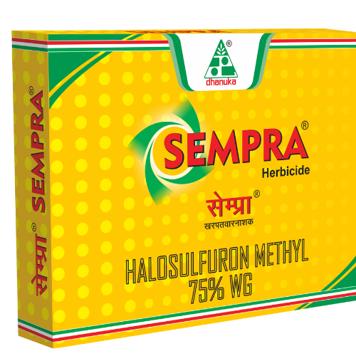 herbicide sempra Dhanuka Sempra Herbicide – Somani Agro Solution