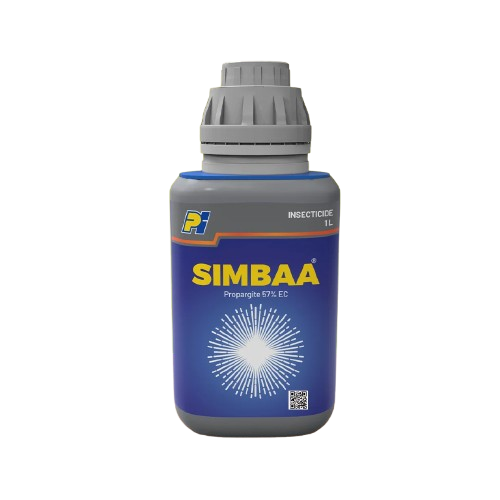 क्षतिग्रस्त